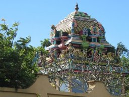 Visite de la petite cousine !